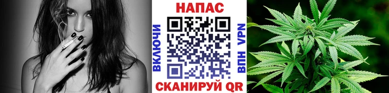 Канабис индика Сурск